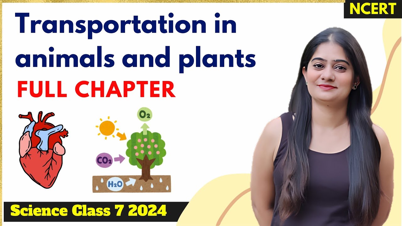 Chapter 7 | Transportation in Animals and Plants | Class 7 Science ...