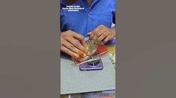 Vivo Y39 5g Back Glass Membrane Full Body Protection #trending #youtubeshorts #shorts #tech