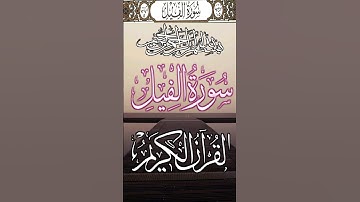 سوره الفيل 🕋 الم ترى كيف فعل ربك باصحاب الفيل #القرآن_الكريم