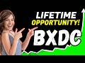 BXDC Stock Breakdown: Blackstone's New Data Center REIT Prediction