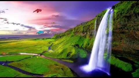 #وديع_اليمني{إن الأبرار يشربون من كأس كان مزاجها كافورا}تلاوة غير عادية