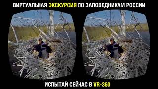 Невероятные VR-путешествия по дикой природе России