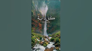 القارئ عبد العزيز سحيم| راحة نفسية| #قران كريم صوت جميل
