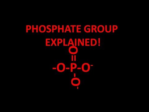 Fosfátová funkčná skupina vysvetlená!