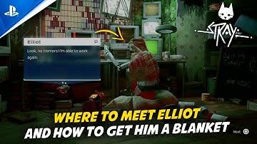 STRAY - PS5 | The Slums - Where To Meet Elliot & How To Find Him a Blanket
