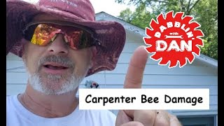 Repairing Carpenter Bee Damage at Dad's House