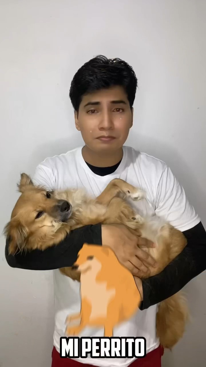 MI PERRITO SE MURIÓ ??
