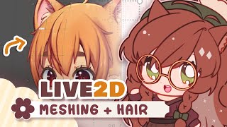 Live2D Meshing, Hair and Ear Physics (Cuco #2)