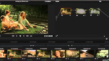 DaVinci Resolve 102: The Color Page  Video Scopes - 1. Introduction