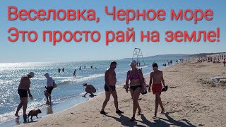 ВЕСЕЛОВКА 2023 - Вася, побывай на Черном море, чистом и без медуз! Потом ври, что в Голубицкой рай!