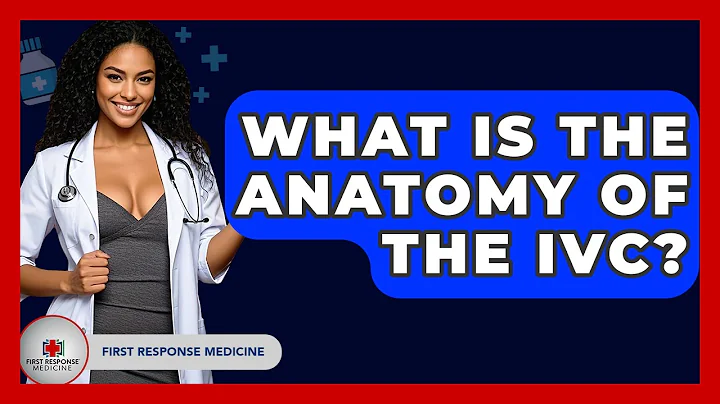 What Is The Anatomy Of The IVC? - First Response Medicine