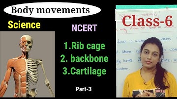NCERT Class 6 Science Chapter 8 Body Movements Part 3  (CTET/ALL TEACHING EXAM)
