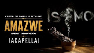 Kabza De Small & Mthunzi - Amazwe (feat. Mawhoo) [Acapella]