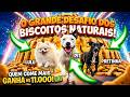 O Trio Parada Fofura COZINHOU! 👨🍳 A Pit liderou o DESAFIO dos BISCOITOS ÉPICOS!