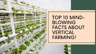 Top 10 Mind-Blowing Facts About Vertical Farming: The Future of Food\/Agriculture.