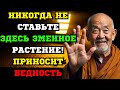 Эта распространенная ошибка с змеиным растением БЛОКИРУЕТ ваше изобилие! ✨ Древний буддийский секрет