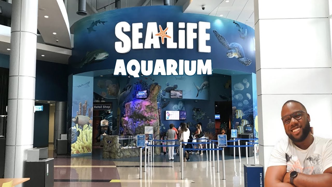 Внутри аквариума Sealife Orlando 2025 | Icon Park Orlando | Флорида 🇺🇸