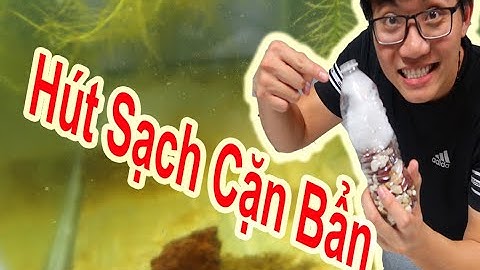 Cách Làm Bộ Lọc Vi Sinh Cực Chất Cho Hồ Cá Cảnh ( Diy Fish Tank Filter )