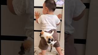 Cats Vs Baby Kedi Vs Bebek