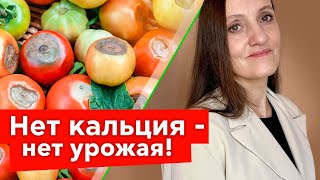 Как добавить КАЛЬЦИЙ в почву? Самые эффективные и доступные средства!