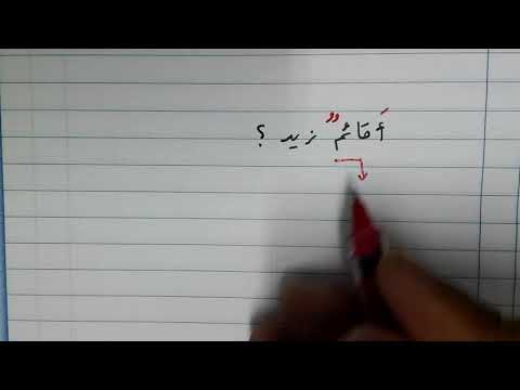 إعراب أقائم زيد بالإفراد والتثنية