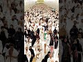 Hajj 2025 Hajji Hajj2025 Makkahlive Madinalive Today