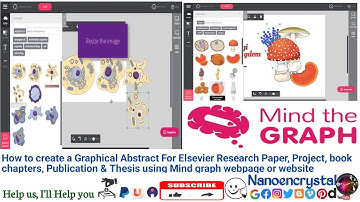 How to create a Graphical Abstract For Elsevier Research Paper using Mind graph webpage or website