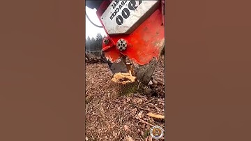 🌳💥 Ultimate Tree Takedown: Root Rumble Extravaganza! #shorts #amazing #epic #machines
