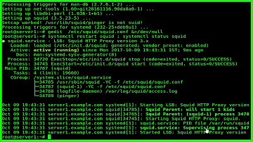 How To Install And Configure Squid Proxy On Debian GNULinux 9.1 stretch