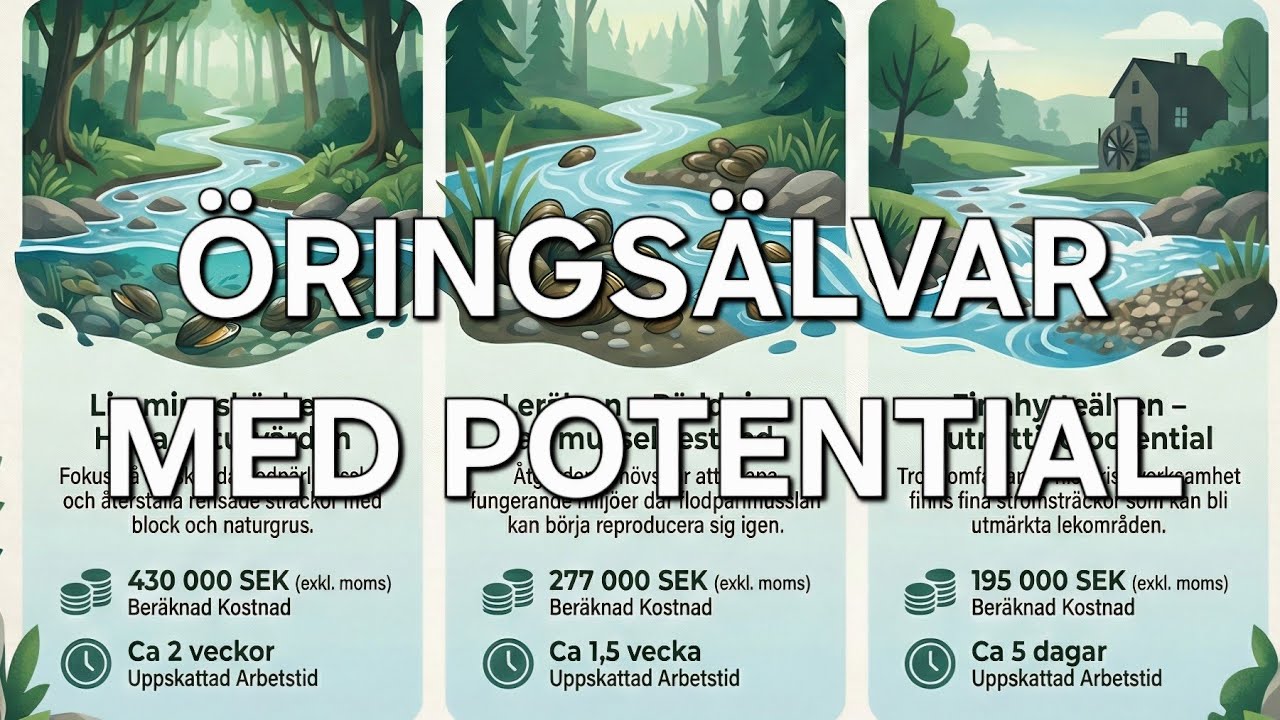 Podd Del 81 - Svartälvens biflöden ska fixas till