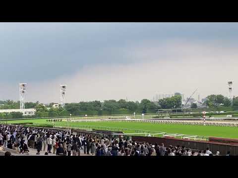 【現地映像】2021 カーネーションカップ メイサウザンアワー