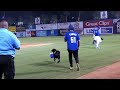 Finn the Bat dog bringing umpire water.