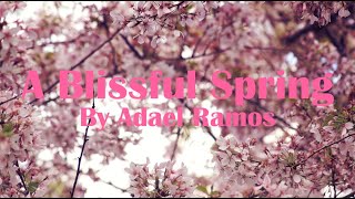 A Blissful Spring
