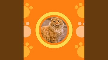 Sublime Ambience for Mysterious Cat