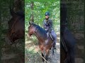 #princebattawala #apdhillon #germany #forest #trending #horseriding #horse #challanges