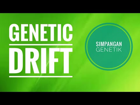 Video: Ciri-ciri Methylation Proximal Yang Dikaitkan Dengan Perubahan Nonrandom Dalam Metilasi Badan Gen