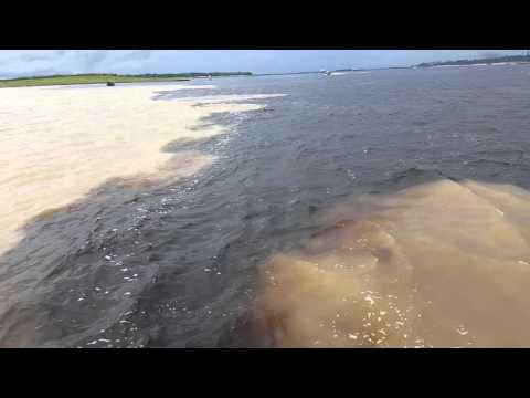 Manaus: encontro das águas