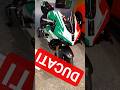 DUCATI PANIGALE 2025r jamacha ninja suzuki sport #ducati #ducatipanigale #ddr #moto4fun #motocykle