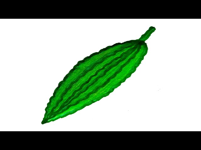 Bitter Gourd Drawing (in 6 EASY steps) | Drawing lessons for kids, Drawing  lessons, Bitter gourd