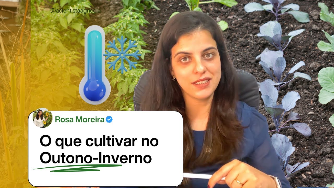 #6:  Culturas de Outono-Inverno em Portugal: O Que Plantar na Época Fria 🥕