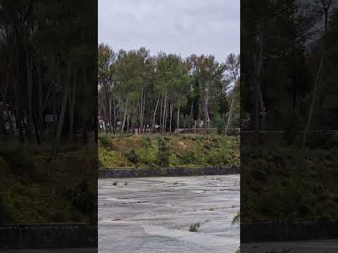 Albolote rebaja la alerta por el temporal pero mantiene la vigilancia.  #Alboloteinformación