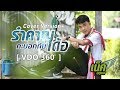 รำคาญกะบอกกันเด้อ : เน็ค นฤพล 【Cover Version 360องศา】