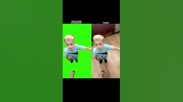 Kid Wants to share Whipped Cream With Dog Green Screen