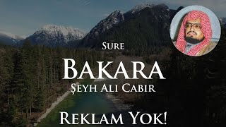Sure Bakara Reklamsız | Şeyh Ali Cabir | Kuran Tilaveti Doğa Manzarası