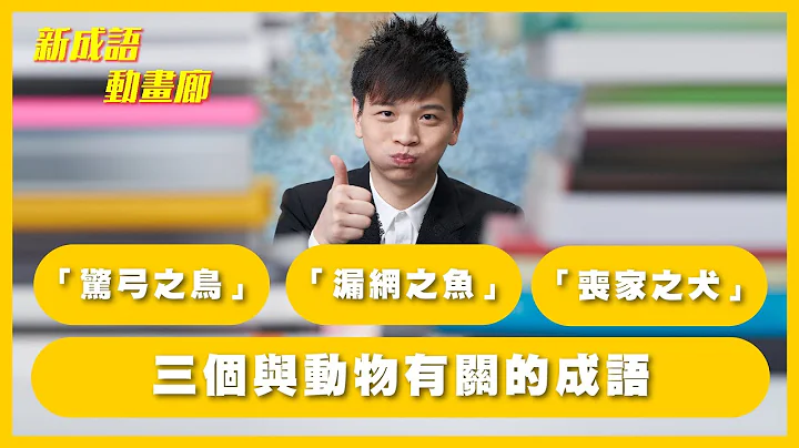 三个与动物有关的成语：「惊弓之鸟」、「漏网之鱼」、「丧家之犬」【YY新成语动画廊】 - 天天要闻