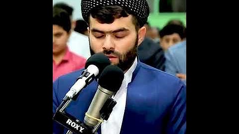 سورة القيامة  للقارىء الشيخ #بيشةوا قادر الكردي