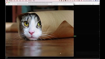 js-ipfs circuit relay