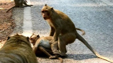 Ah ! This is mistake of Donny not care _ Step on leg , Make Poor Dustin falling down .