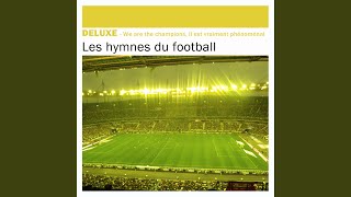 Allez les Verts screenshot 4