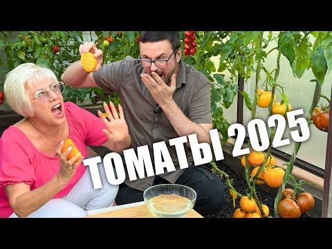My sister and I are trying tomatoes. The taste is different for us.